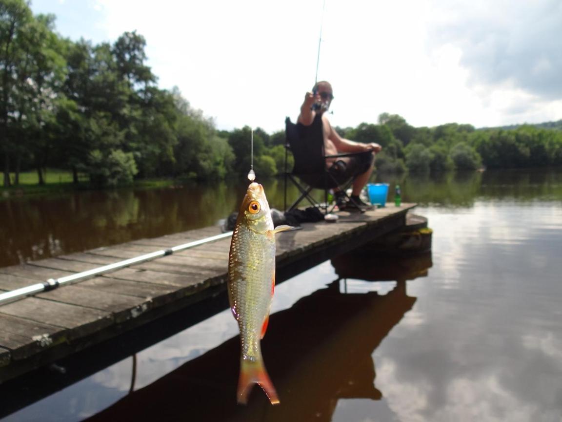 Gite De L'Etang - Parc Des Volcans D'Auvergne Loubeyrat ภายนอก รูปภาพ