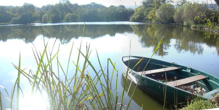 Gite De L'Etang - Parc Des Volcans D'Auvergne Loubeyrat ภายนอก รูปภาพ